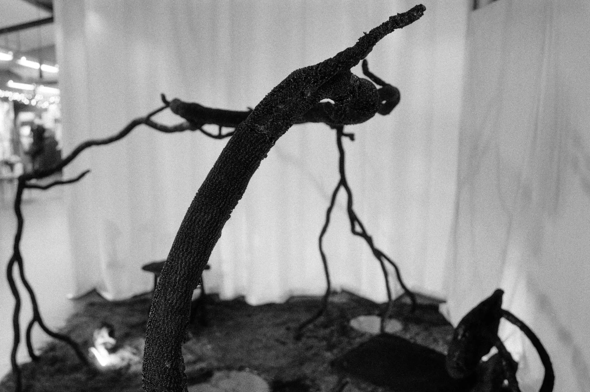 Artificial Organic sculpture study
